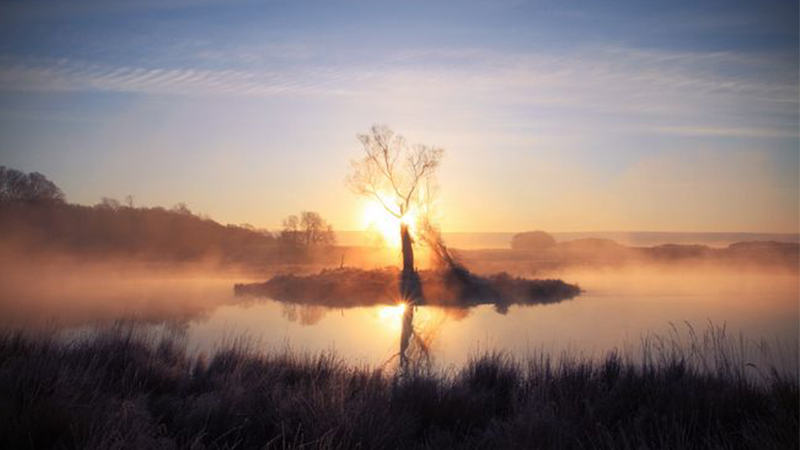 1565926694129874.png 图片1.png